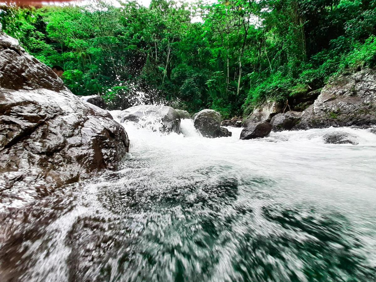 Deluxe Suites Guacamayos - Eco-Lodge & Swimming Pool Bonao ภายนอก รูปภาพ